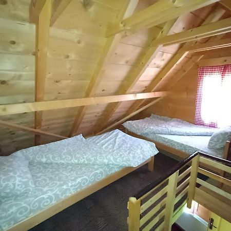 Apartments Vila Selena - Golija Rudno Экстерьер фото