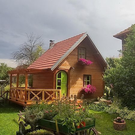 Apartments Vila Selena - Golija Rudno Экстерьер фото