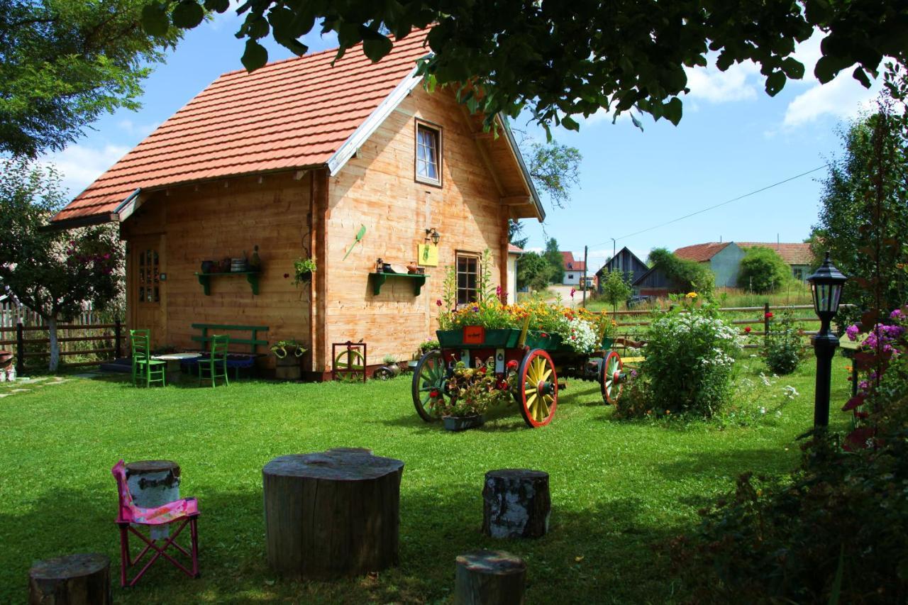 Apartments Vila Selena - Golija Rudno Экстерьер фото
