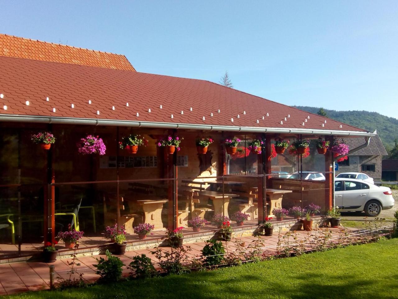 Apartments Vila Selena - Golija Rudno Экстерьер фото