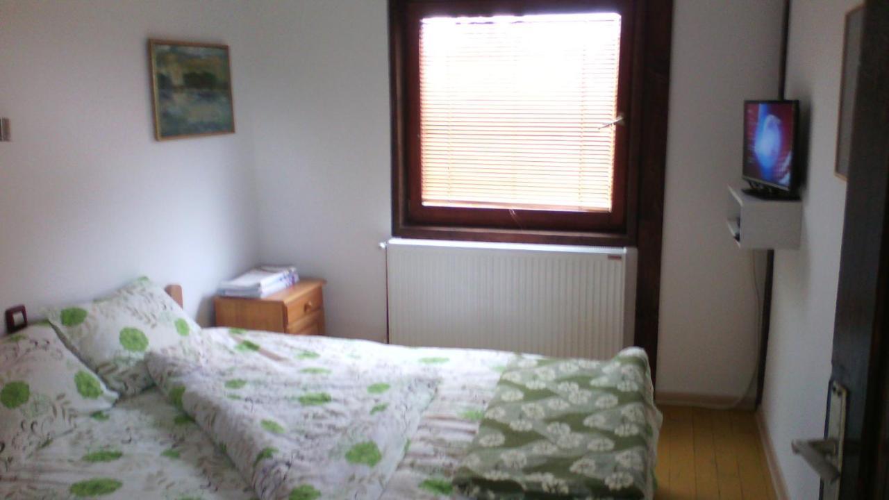 Apartments Vila Selena - Golija Rudno Экстерьер фото
