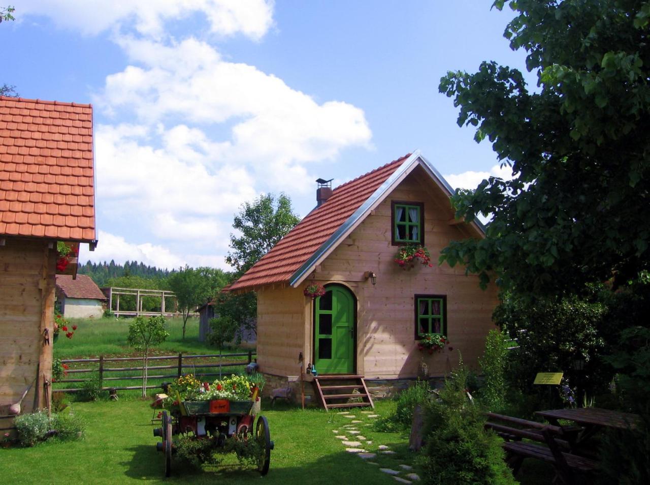 Apartments Vila Selena - Golija Rudno Экстерьер фото