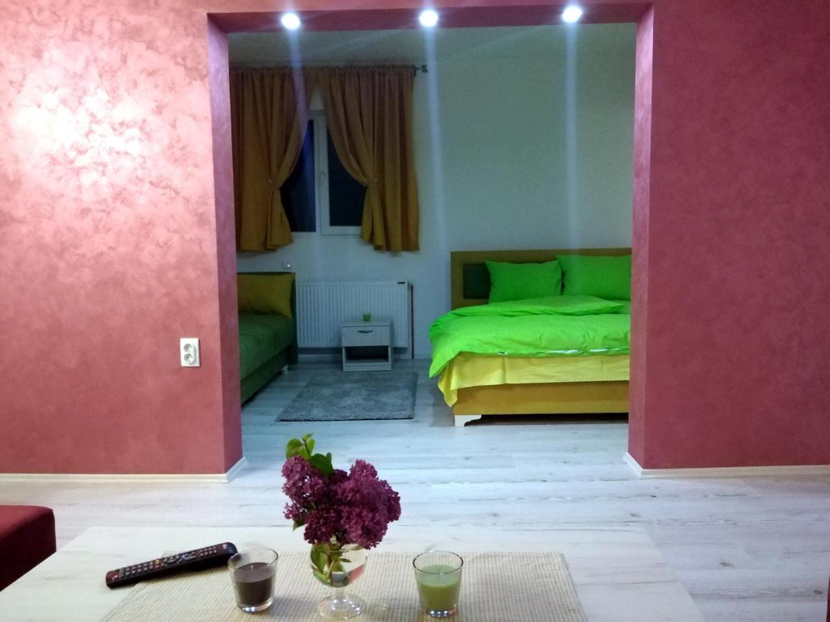 Apartments Vila Selena - Golija Rudno Экстерьер фото