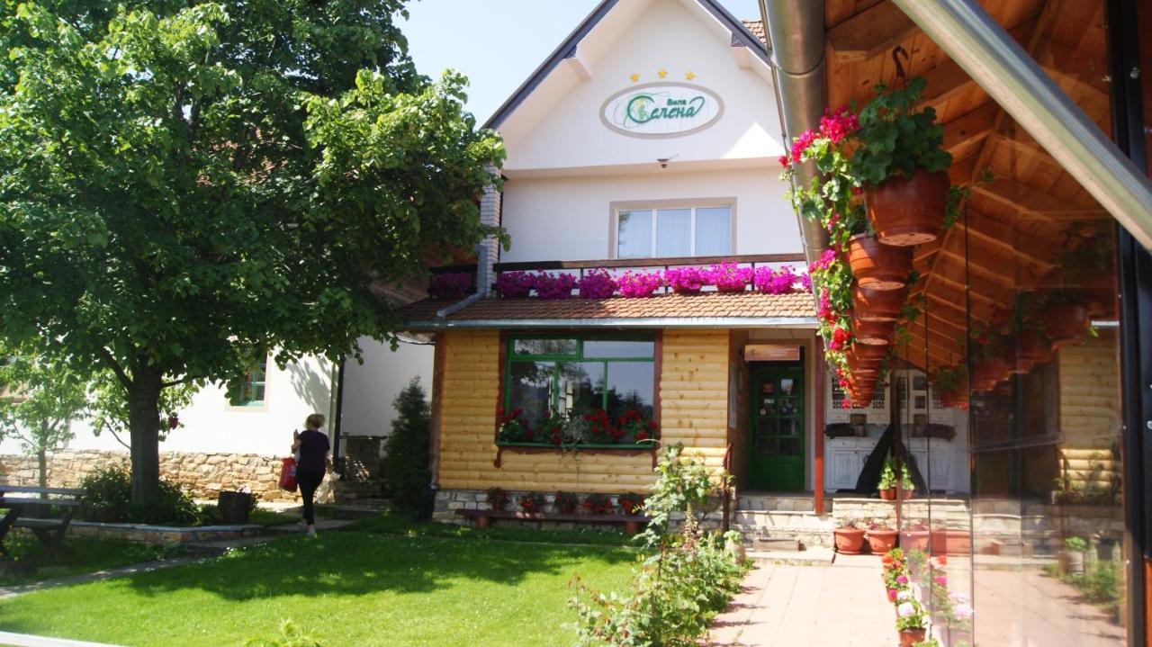 Apartments Vila Selena - Golija Rudno Экстерьер фото